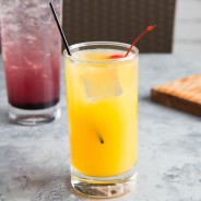 High Ball Glass 310ml | Bar46 Brand Long Drink Glass