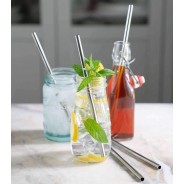 Eco-Friendly Stainless Steel Straw 21cm – Reusable Drinking Straw
